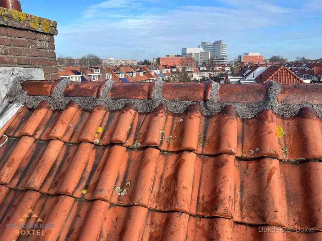 Boxtel Daken Renoveren