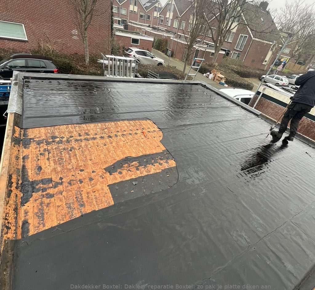 Dakleer Reparatie Boxtel