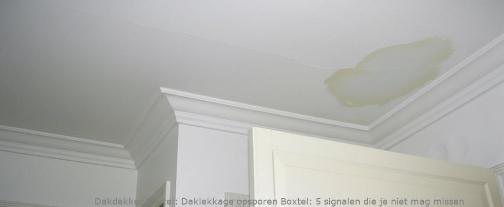 Daklekkage Opsporen Boxtel 1