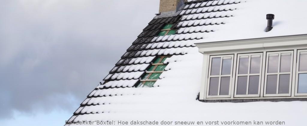 Schade Door Sneeuw En Vorst Boxtel